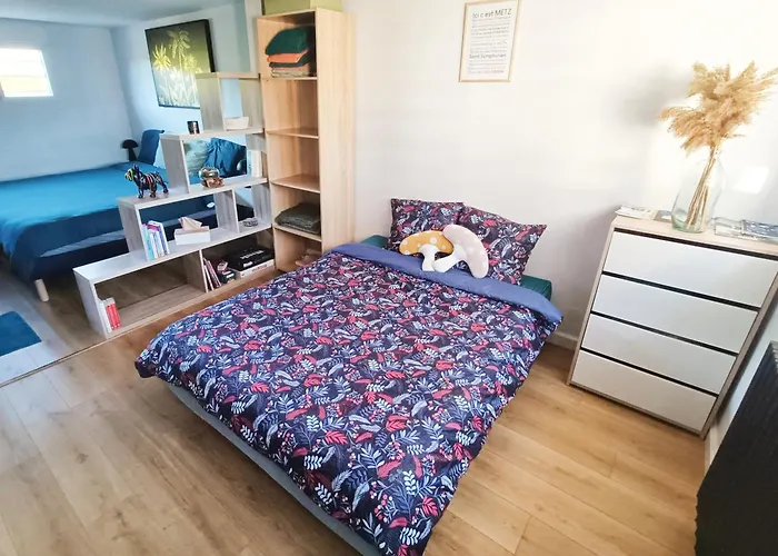 Maison Du Bonheur Bed & Breakfast Montigny-les-Metz